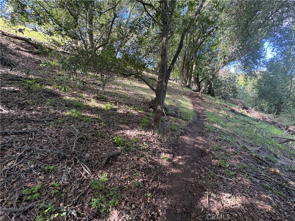 12000 San Marcos, Atascadero, CA 93422