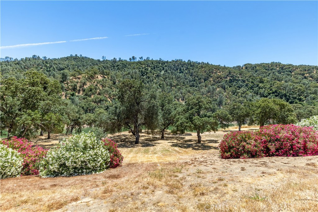 4720 Shady Creek Ln #54, Paso Robles, CA 93446