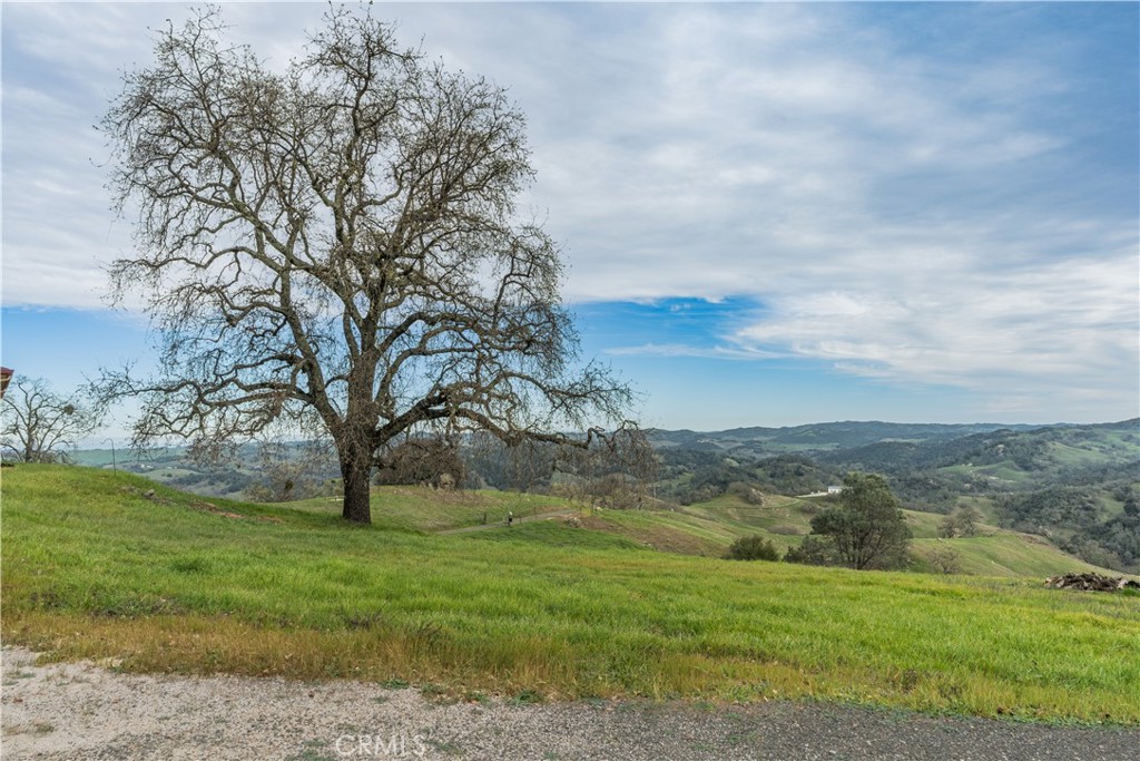 1115 Cypress Mountain Dr, Paso Robles, CA 93446