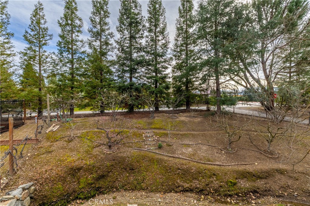 1235 Shane Lane, Templeton, CA 93465