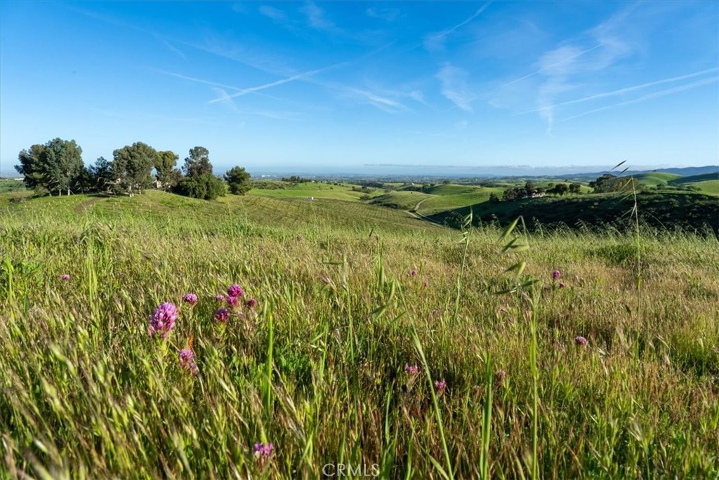 1730 Sutliff, Paso Robles, CA 93446