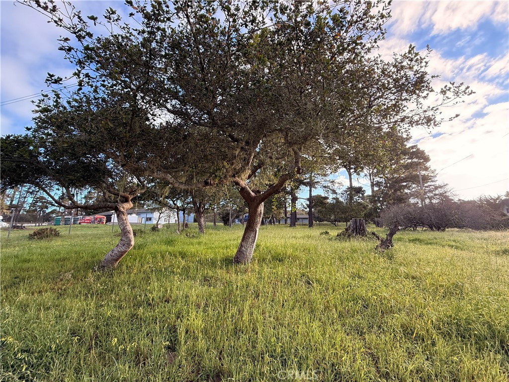 6126 Charing, Cambria, CA 93428