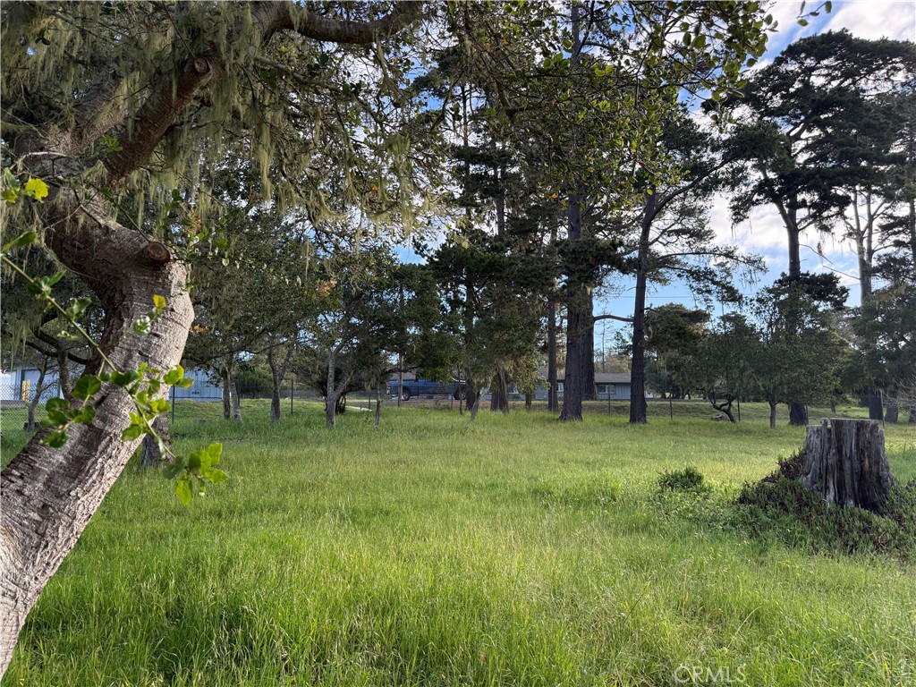 6126 Charing, Cambria, CA 93428