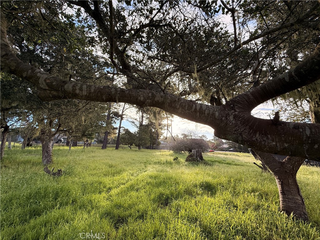 6126 Charing, Cambria, CA 93428