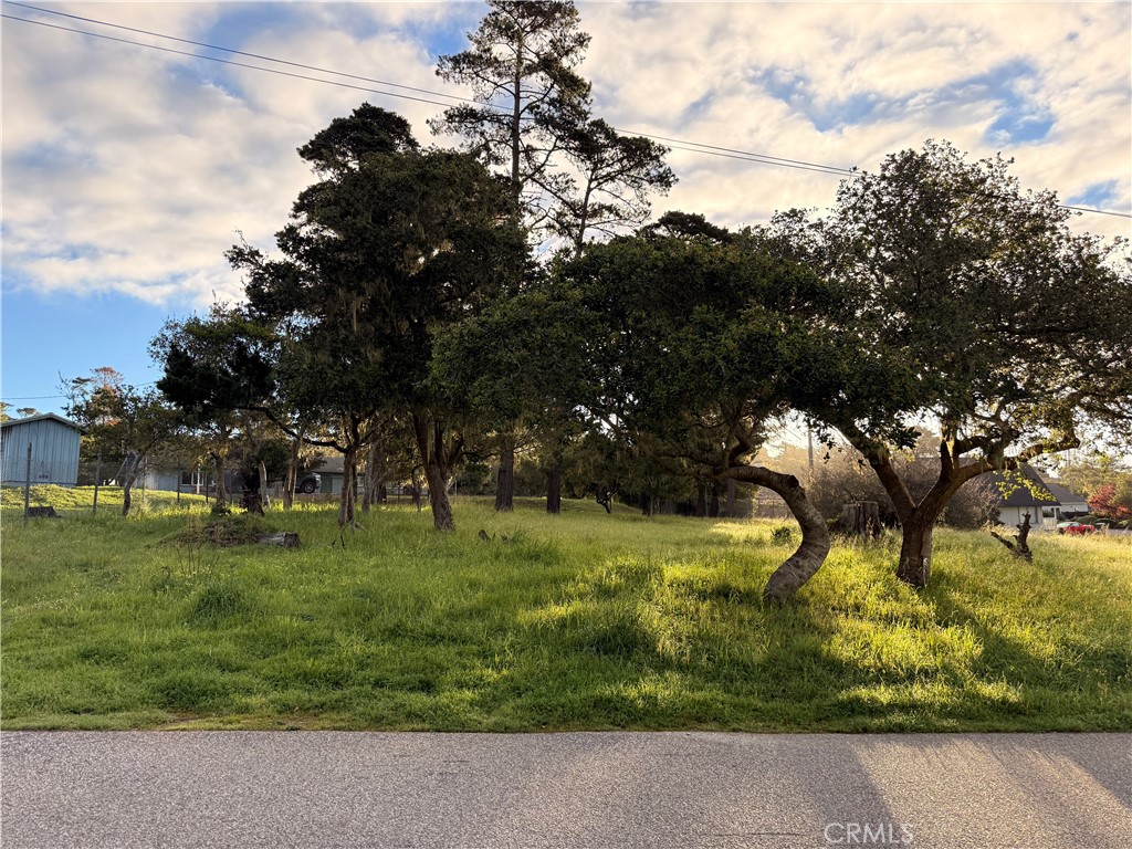 6126 Charing, Cambria, CA 93428