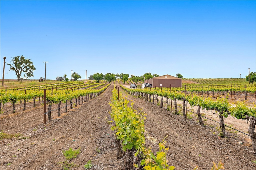 5575 El Pomar, Templeton, CA 93465