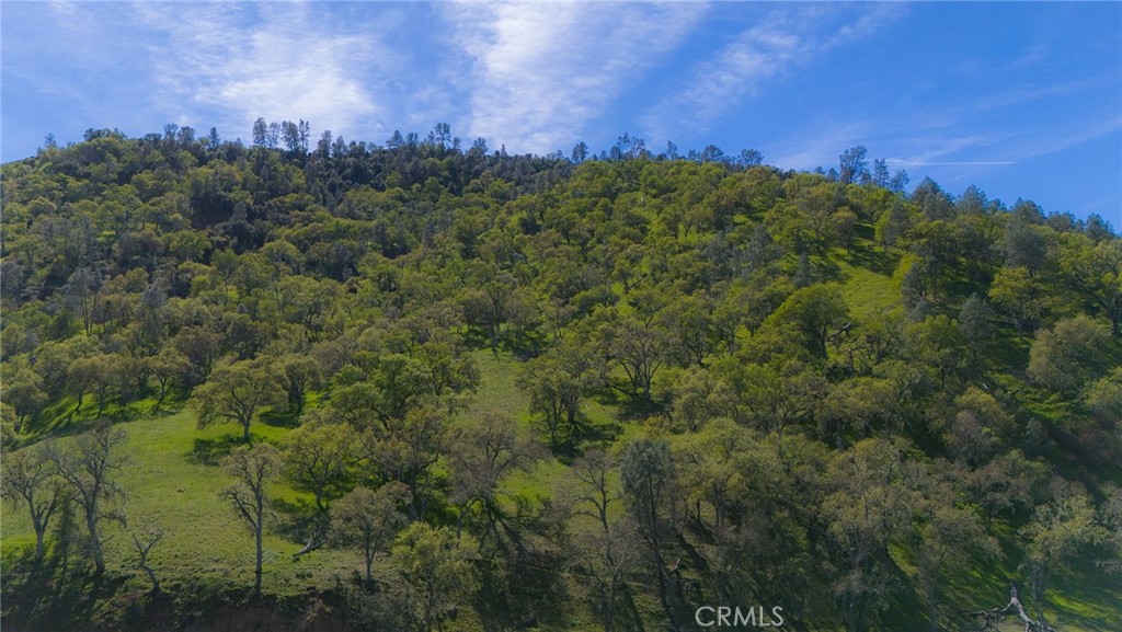 2935 Sorrel Ln, Paso Robles, CA 93446