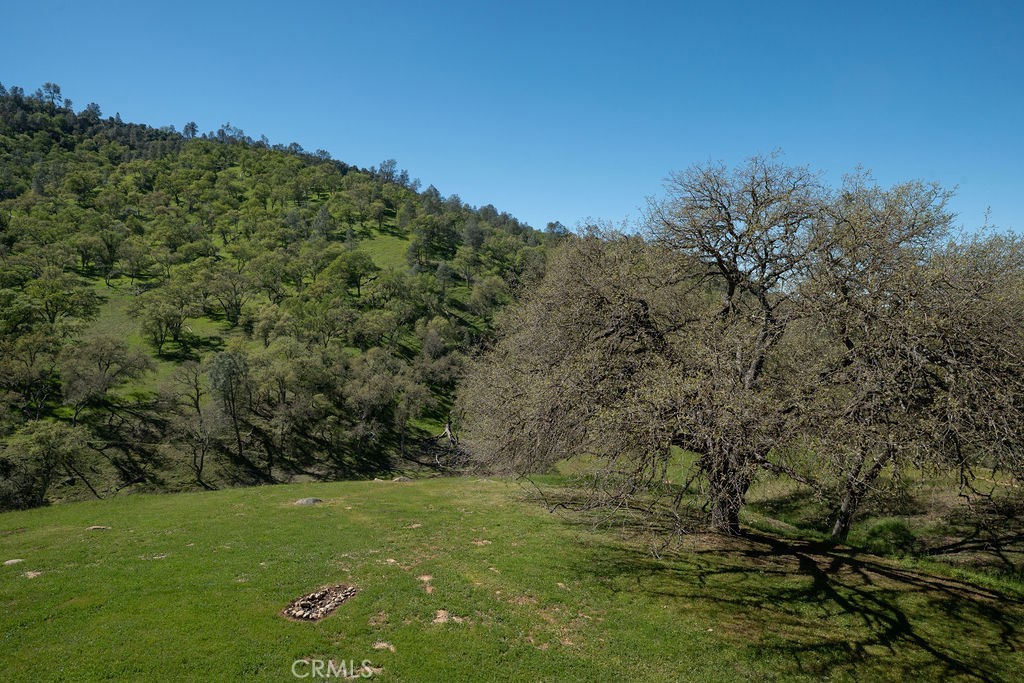 2935 Sorrel Ln, Paso Robles, CA 93446