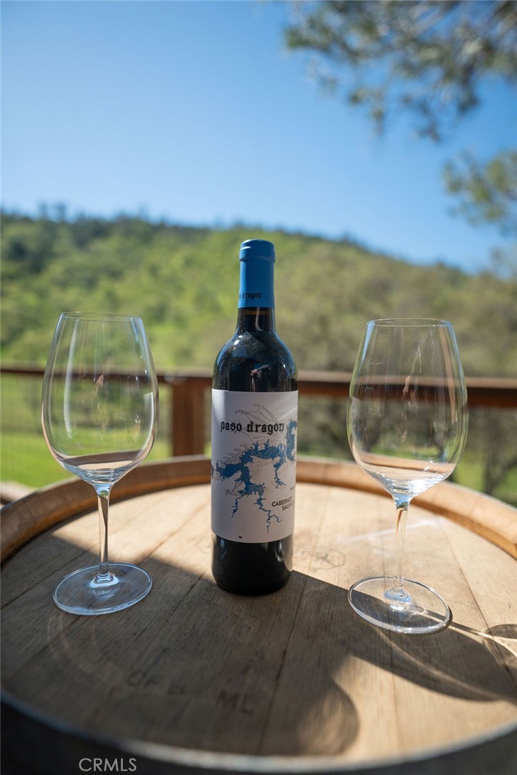 2935 Sorrel Ln, Paso Robles, CA 93446