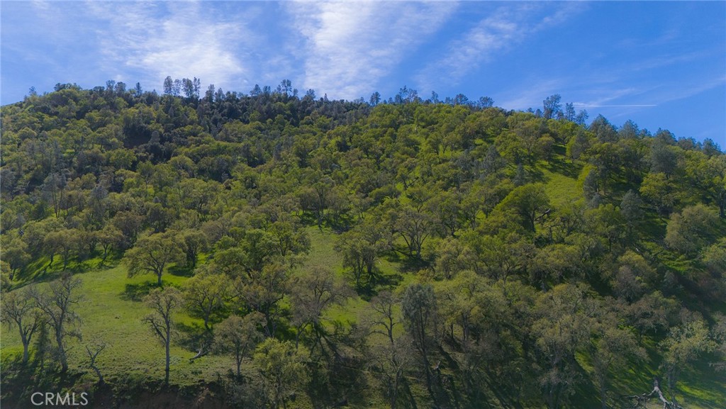 2935 Sorrel Ln, Paso Robles, CA 93446