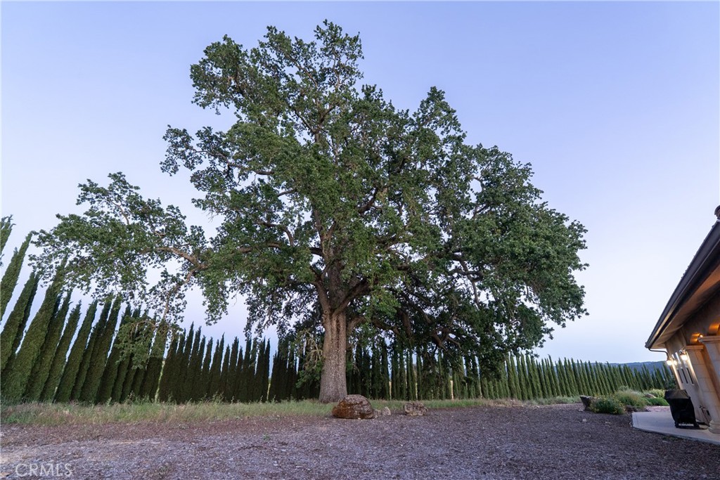 5250 , 5260 Vineyard, Paso Robles, CA 93446