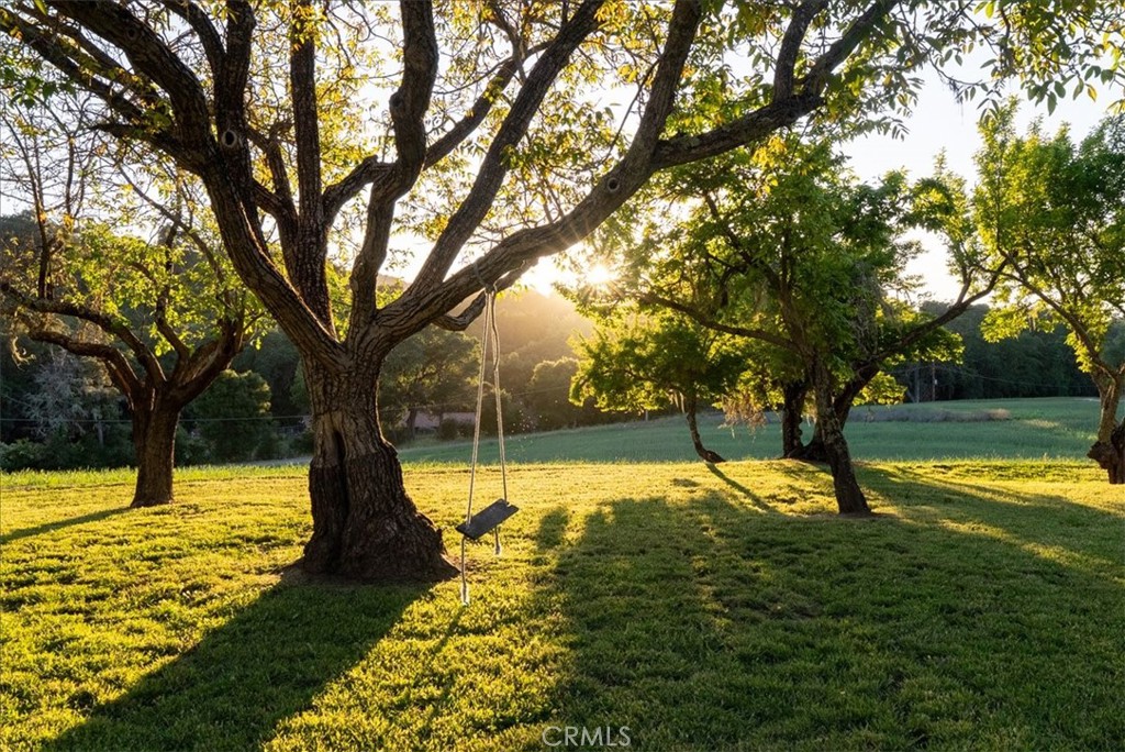 5250 , 5260 Vineyard, Paso Robles, CA 93446