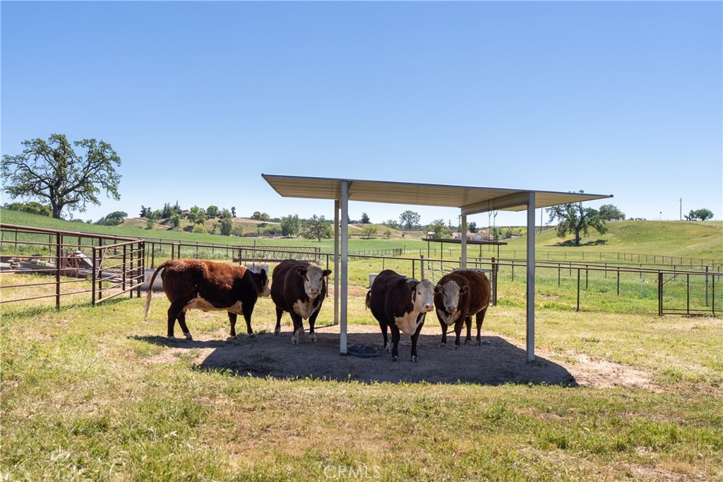 5385 & 5375 Camp 8, Paso Robles, CA 93446