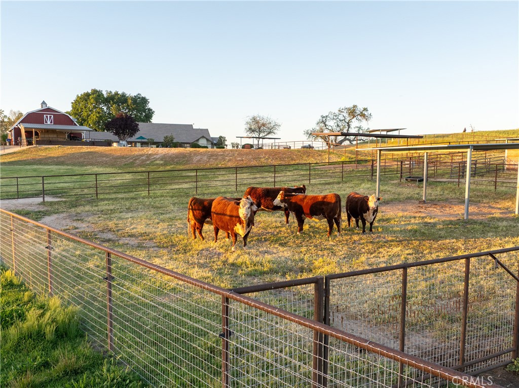 5385 & 5375 Camp 8, Paso Robles, CA 93446