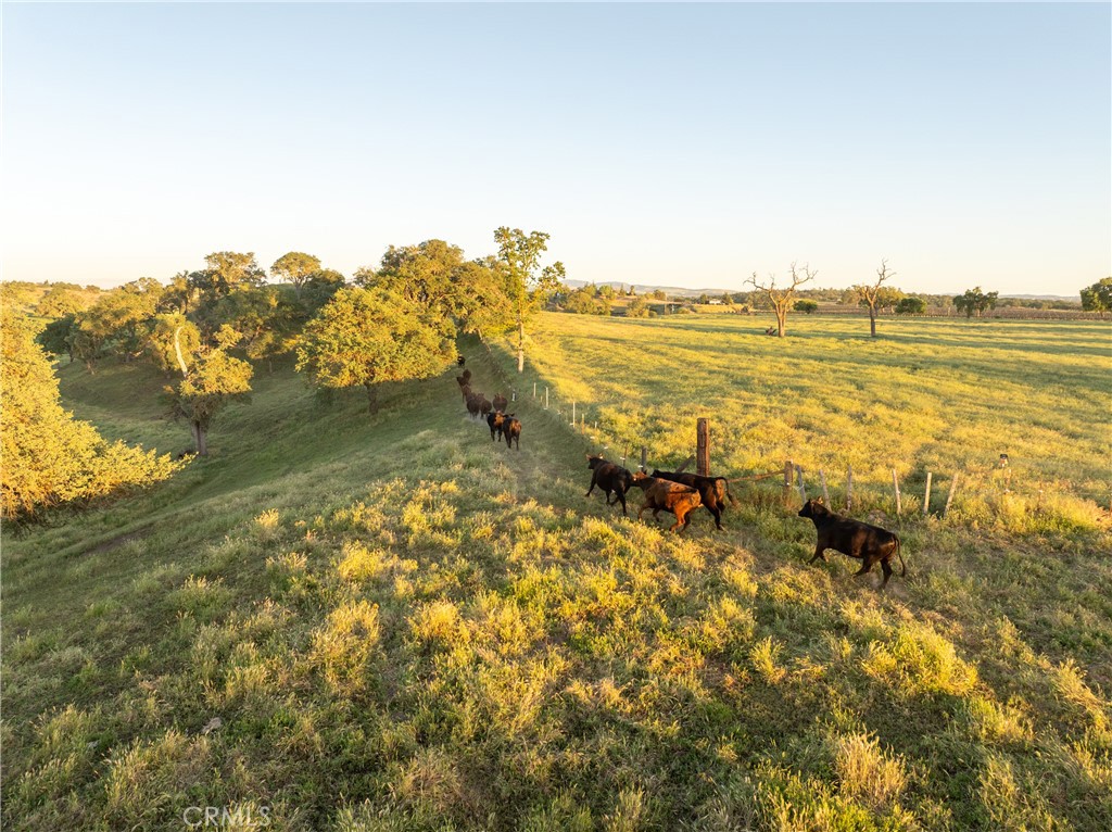 5385 & 5375 Camp 8, Paso Robles, CA 93446