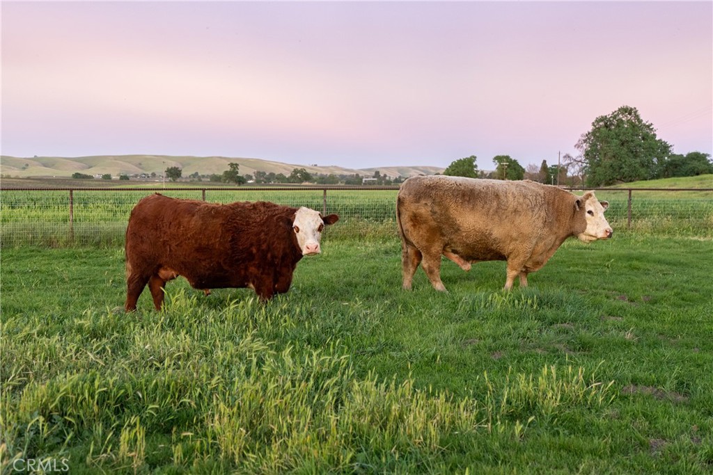5385 & 5375 Camp 8, Paso Robles, CA 93446