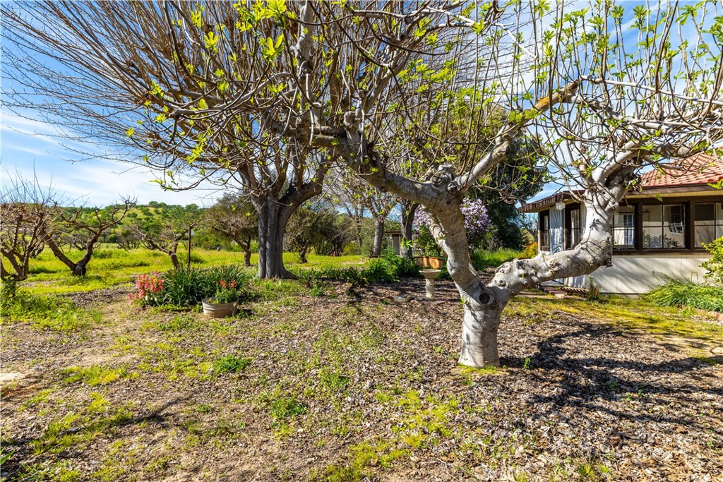 5335 Monterey, Paso Robles, CA 93446