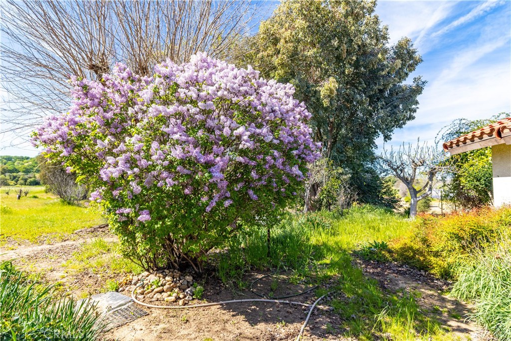 5335 Monterey, Paso Robles, CA 93446