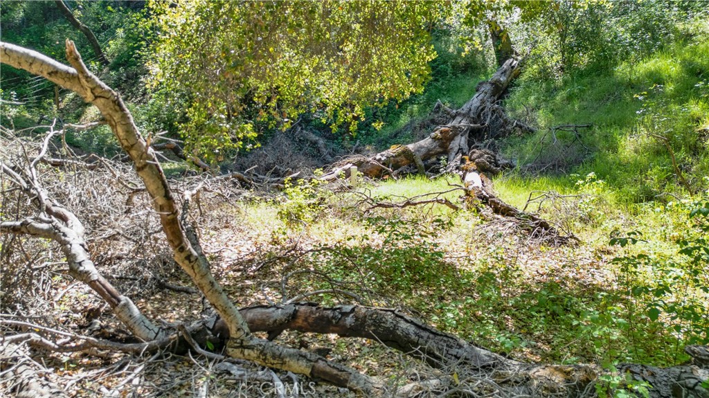 0 Tres Vista, Paso Robles, CA 93446