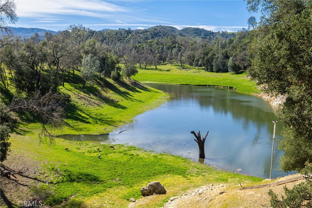 5765 Dago Lane, Paso Robles, CA 93446