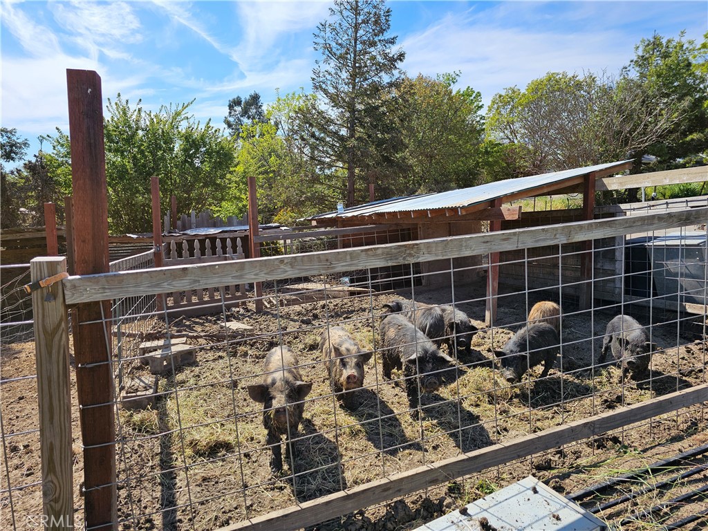 8199 Plane View, Paso Robles, CA 93446