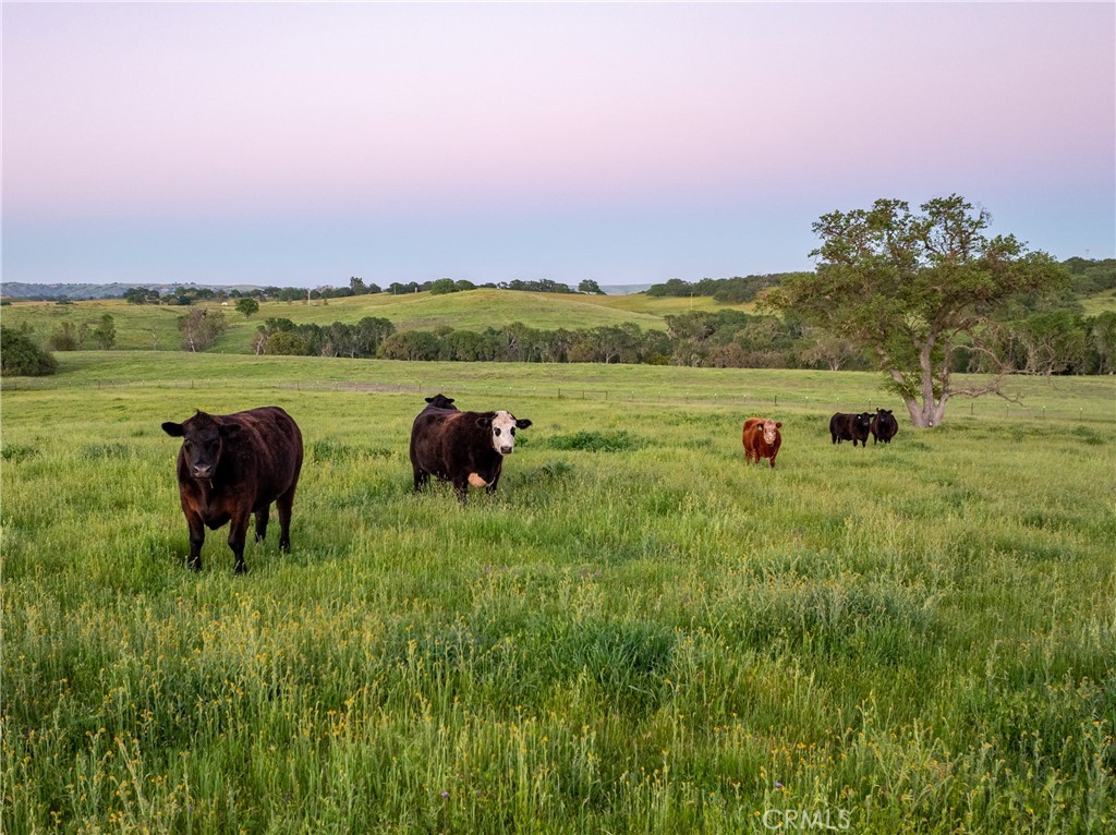 6125 El Pomar, Templeton, CA 93465