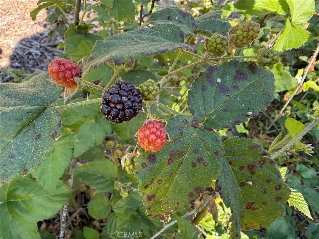 625 W Ormonde, San Luis Obispo, CA 93401