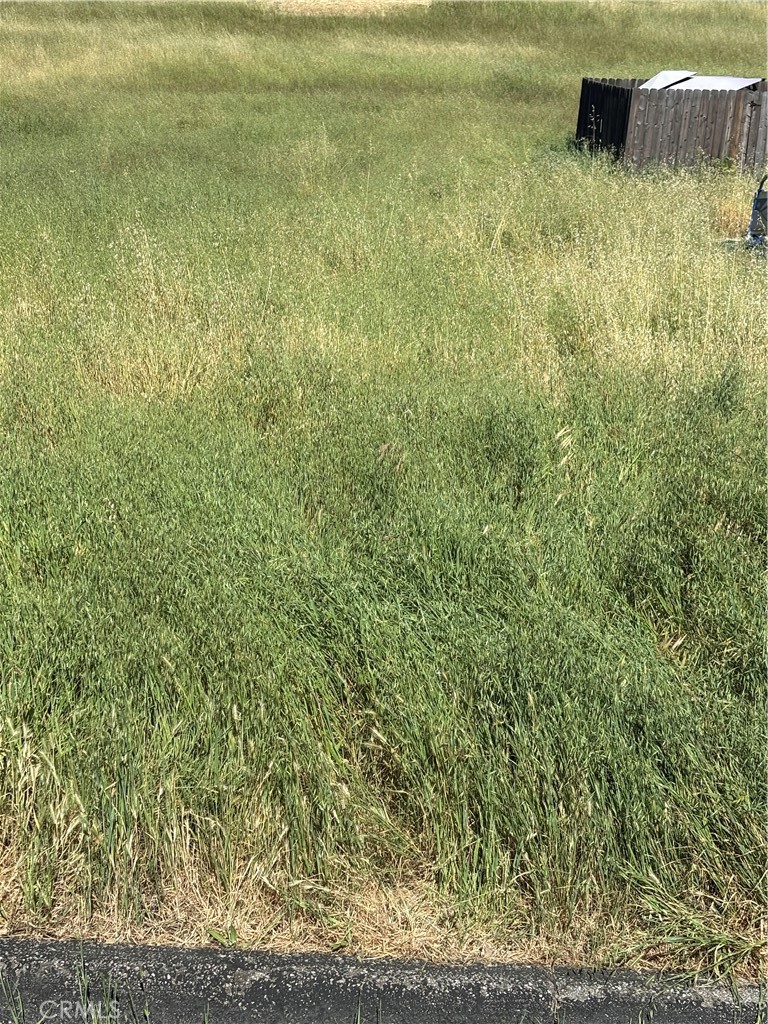 4813 Tumbleweed Way, Paso Robles, CA 93446