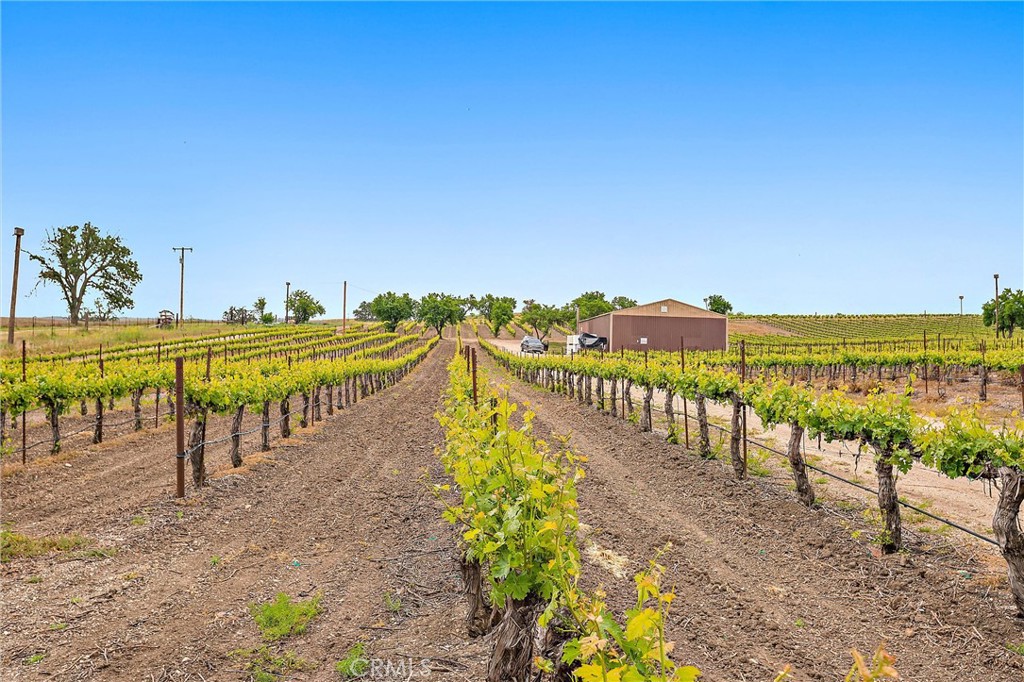 5575 El Pomar, Templeton, CA 93465