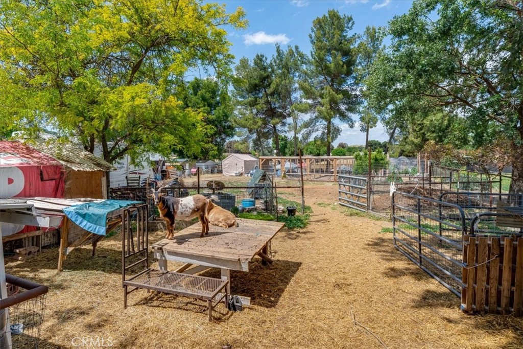 7835 Blue Moon Rd, Paso Robles, CA 93446