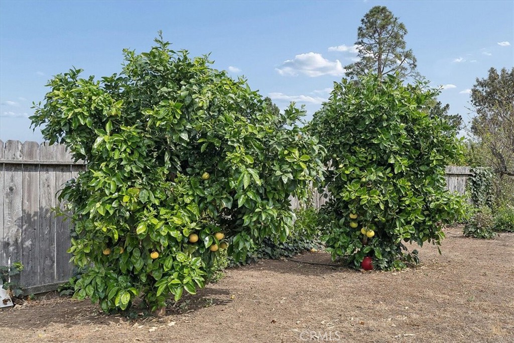 1082 Cortez Ct, San Luis Obispo, CA 93405