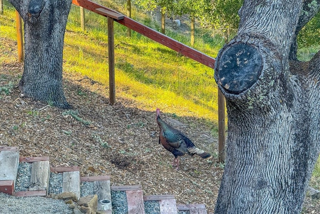 10662 Santa Ana Rd, Atascadero, CA 93422