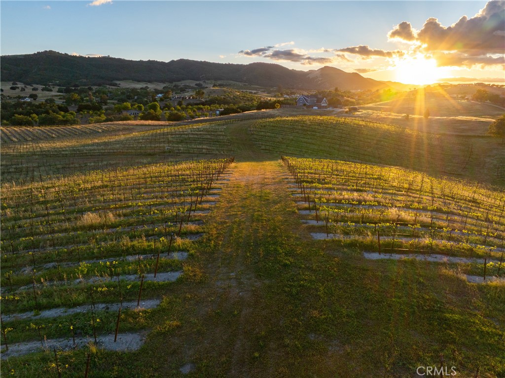 2325 Bella Tierra, Paso Robles, CA 93446