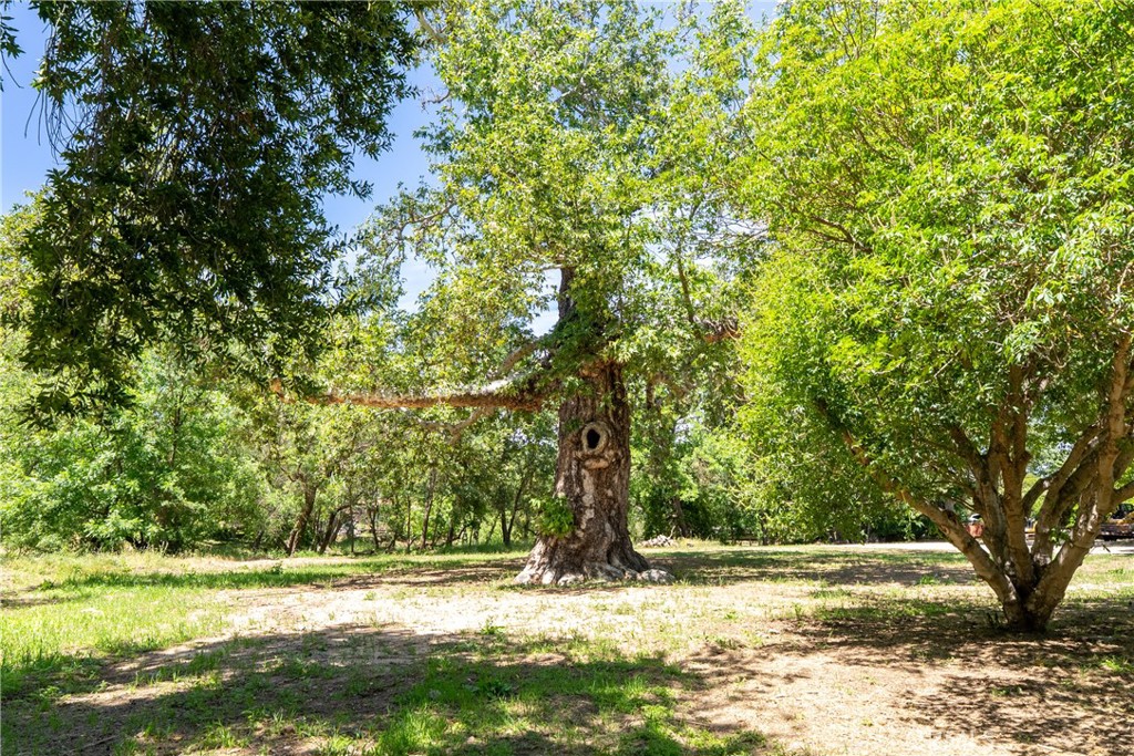 7900 Portola, Atascadero, CA 93422