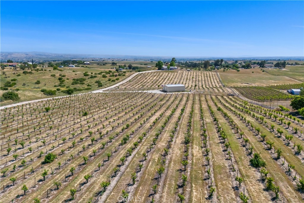 5720 Vista Serrano Way, Paso Robles, CA 93446
