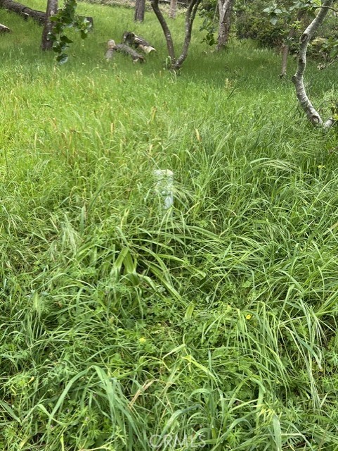 0 Mills, Cambria, CA 93428