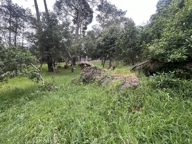 0 Mills, Cambria, CA 93428