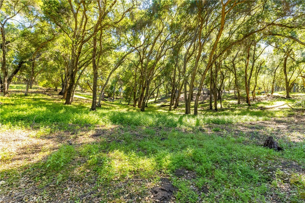 7695 Del Rio, Atascadero, CA 93422