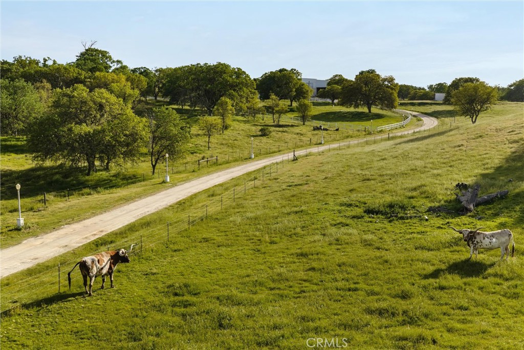 6685 El Pomar Dr, Templeton, CA 93465