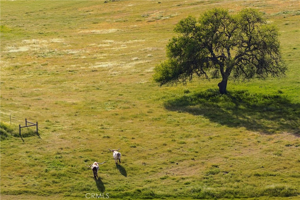 6685 El Pomar Dr, Templeton, CA 93465