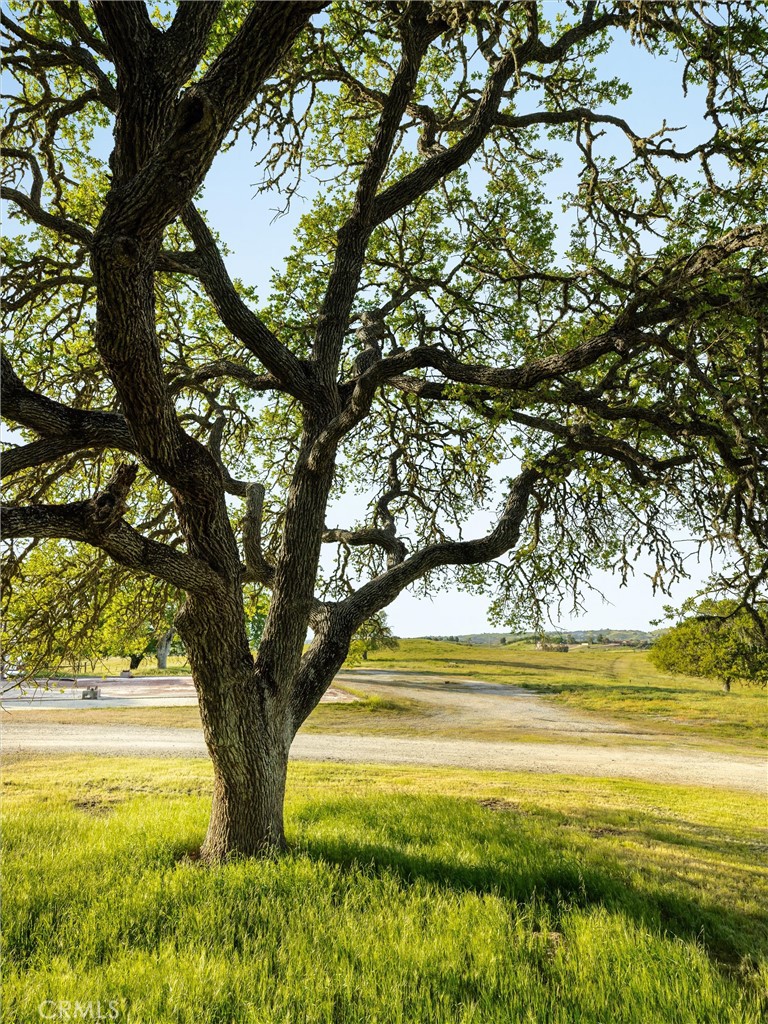 6685 El Pomar Dr, Templeton, CA 93465