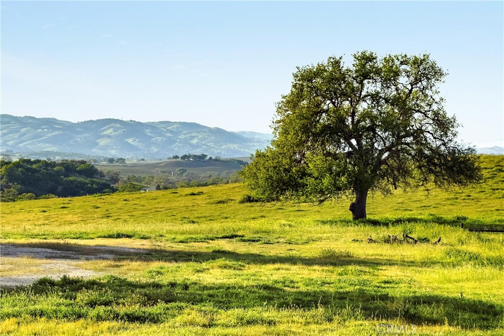 6685 El Pomar Dr, Templeton, CA 93465