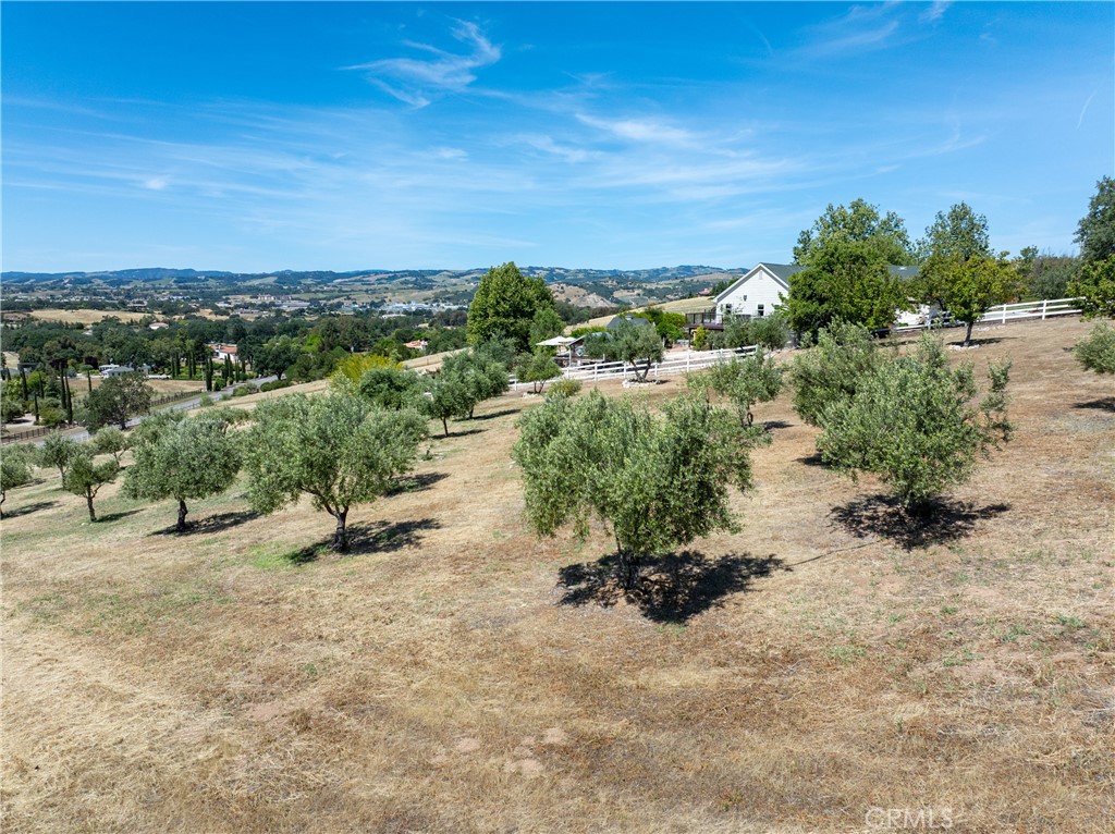 1885 Cumbre, Paso Robles, CA 93446