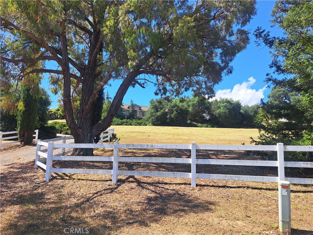 Open Photo