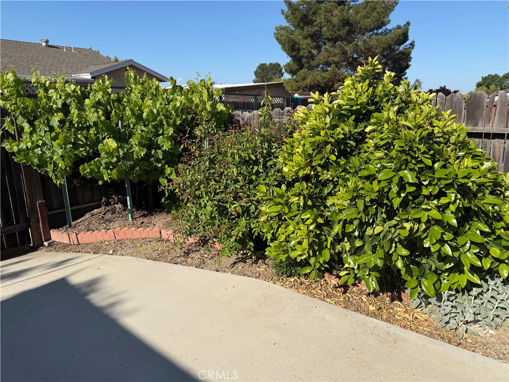 1032 Scott, Paso Robles, CA 93446