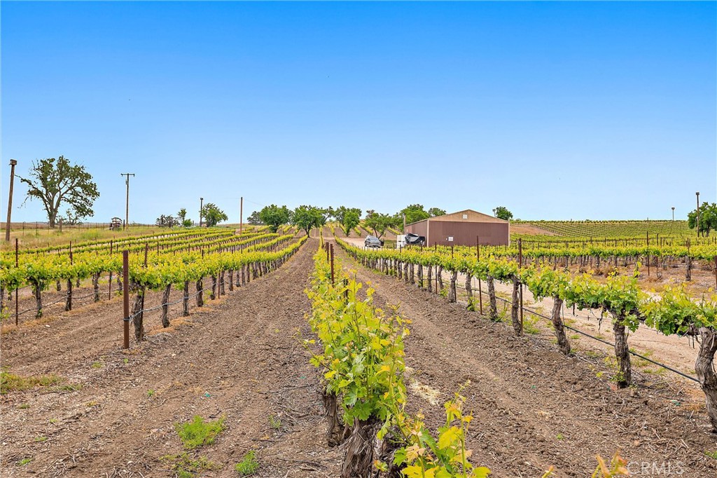 5575 El Pomar, Templeton, CA 93465