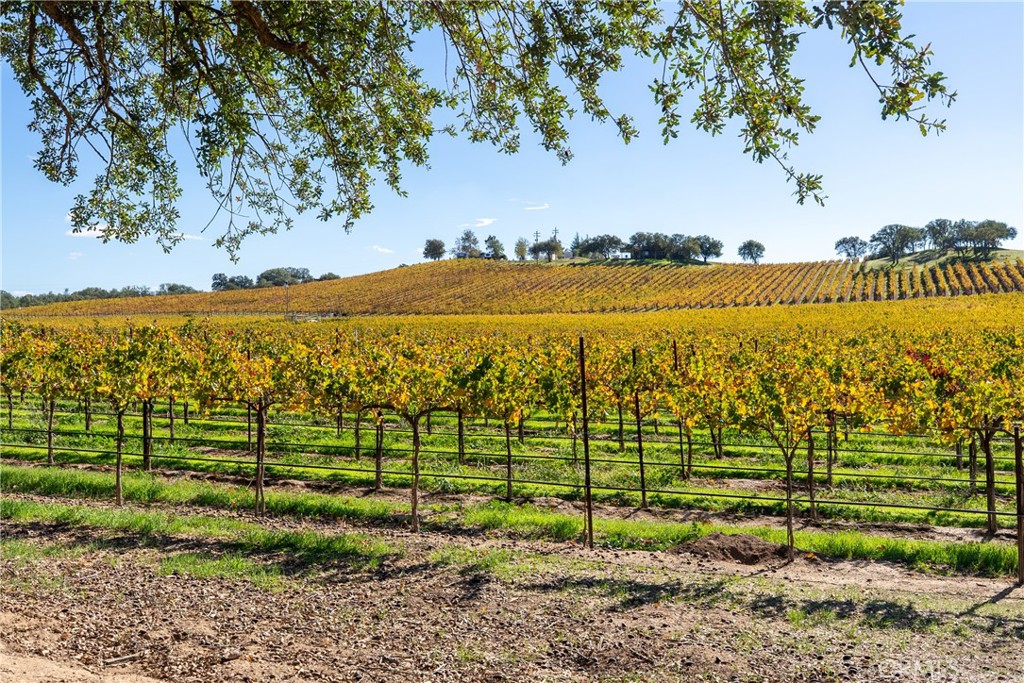 7790 Airport Rd, Paso Robles, CA 93446