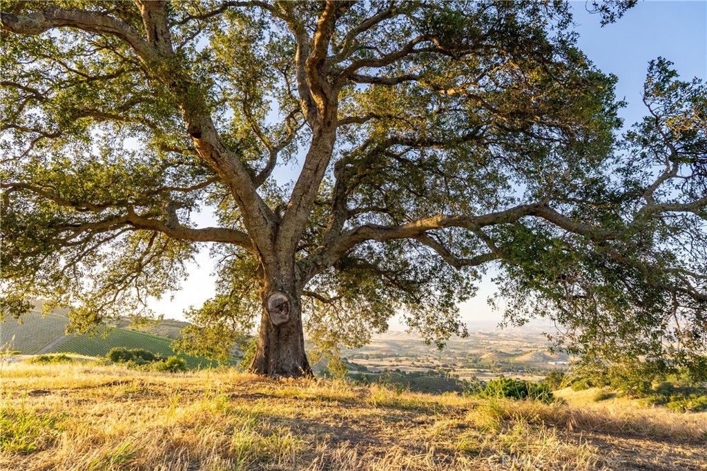 2762 Adelaida Rd, Paso Robles, CA 93446