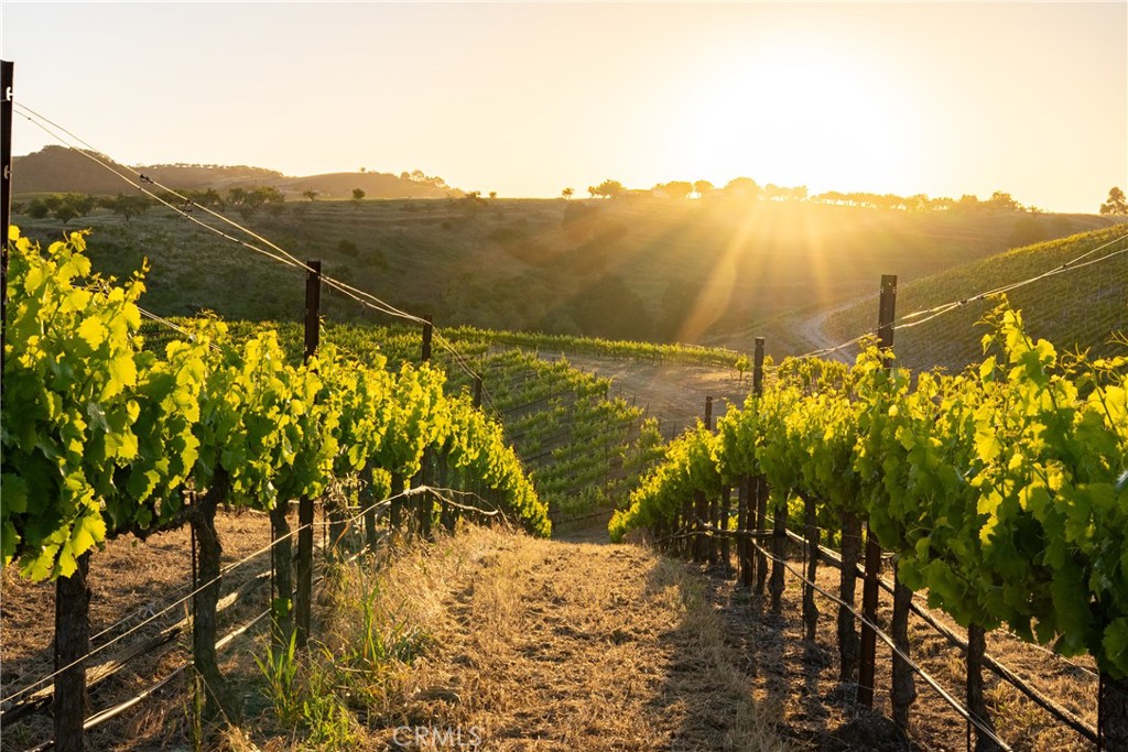 2762 Adelaida Rd, Paso Robles, CA 93446