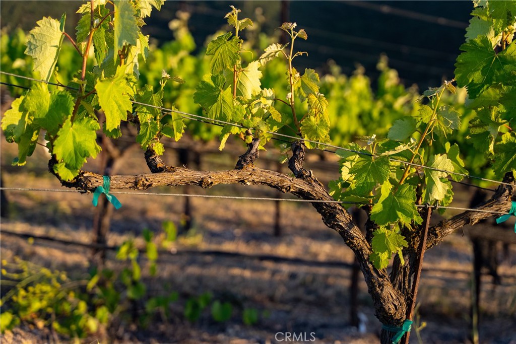 2762 Adelaida Rd, Paso Robles, CA 93446